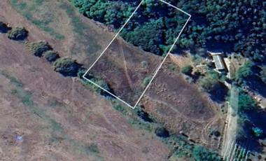 Sitio en Venta en Camino Arauco a LLico