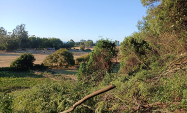 Sitio en Venta en Camino Arauco a LLico