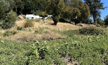 Sitio en Venta en Camino Arauco a LLico