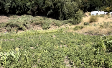 Sitio en Venta en Camino Arauco a LLico