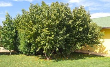 Parcela en Venta en Til Til