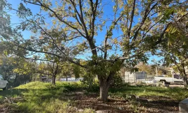 Casa en venta en Parras de la Fuente Centro, Parras, Coahuila de Zaragoza