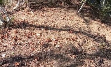 Lote en venta en Zipolite Arroyo Tres, 960 Mts2.