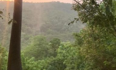 Lote en venta en Zipolite Arroyo Tres, 960 Mts2.