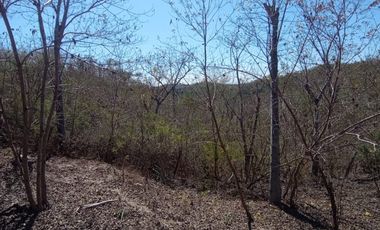 Lote en venta en Zipolite Arroyo Tres, 960 Mts2.