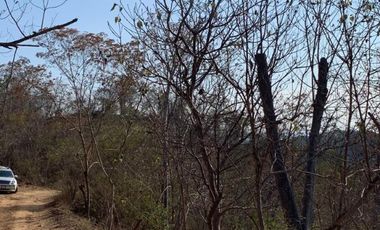 Lote en venta en Zipolite Arroyo Tres, 960 Mts2.