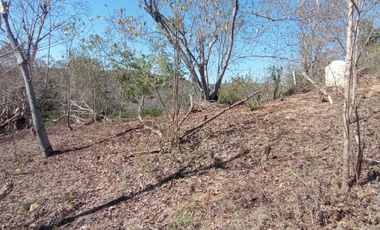 Lote en venta en Zipolite Arroyo Tres, 960 Mts2.