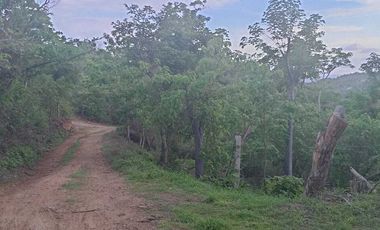 Lote en venta en Zipolite Arroyo Tres, 960 Mts2.