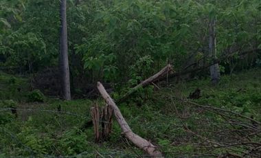 Lote en venta en Zipolite Arroyo Tres, 960 Mts2.