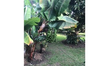 VENDO LINDISIMA FINCA CHINAUTA