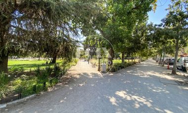 BARRIO LAS LILAS / ELIODORO YÁÑEZ