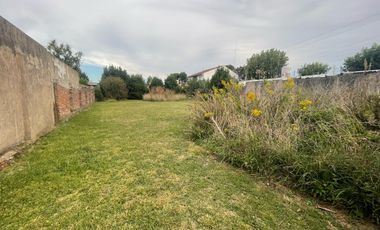 Lote / Terreno calle 30 entre 29 y 31 - Miramar