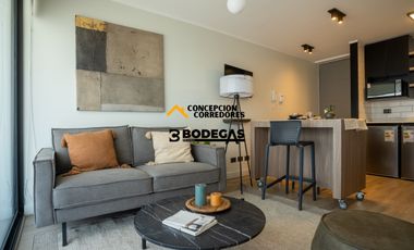 DEPARTAMENTO 1D+1B SAN JOAQUIN SECTOR METRO RODRIGO DE ARAYA