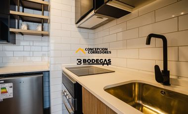 DEPARTAMENTO 1D+1B SAN JOAQUIN SECTOR METRO RODRIGO DE ARAYA