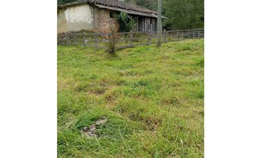 VENDO O PERMUTO FINCA EN ALBANIA SANTANDER