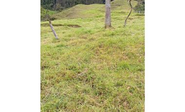 VENDO O PERMUTO FINCA EN ALBANIA SANTANDER