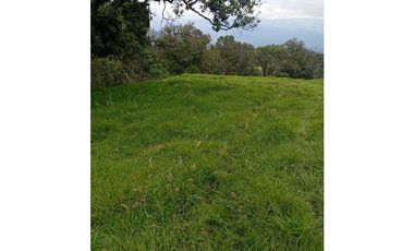 VENDO O PERMUTO FINCA EN ALBANIA SANTANDER