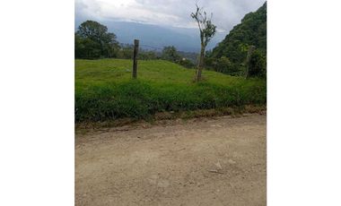 VENDO O PERMUTO FINCA EN ALBANIA SANTANDER