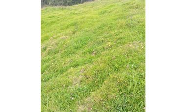 VENDO O PERMUTO FINCA EN ALBANIA SANTANDER