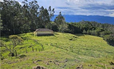 VENDO O PERMUTO FINCA EN ALBANIA SANTANDER