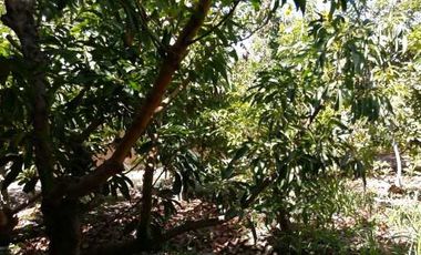 Parcela en venta en VICUÑA