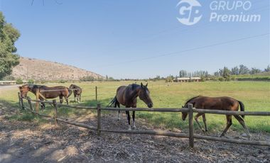Parcela en Venta en San Agustín  Eucaliptus