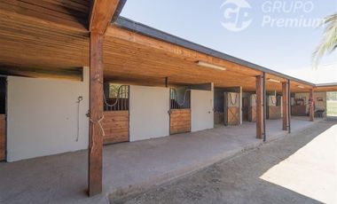 Parcela en Venta en San Agustín  Eucaliptus