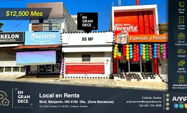 Local Comercial en Renta, Sector Barrancos