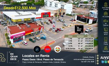 Locales Comerciales en Renta - Plaza Paseo Oasis