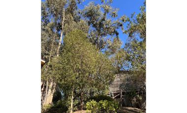 Se vende terreno en El TABO