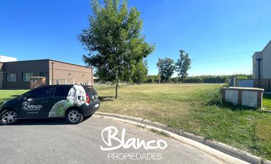 Terreno en Venta en Haras Santa Maria, Escobar, G.B.A. Zona Norte, Argentina