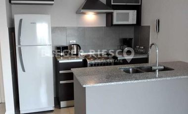Departamento en Alquiler en Homes II, El Palmar, Nordelta, Tigre, G.B.A. Zona Norte, Argentina