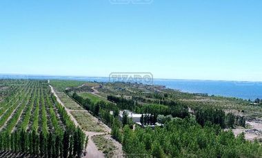 Terreno en Venta en Centenario (Neuquén), Neuquén, Patagonia, Argentina