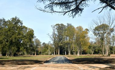Terreno en Venta en Del Viso, Pilar, G.B.A. Zona Norte, Argentina