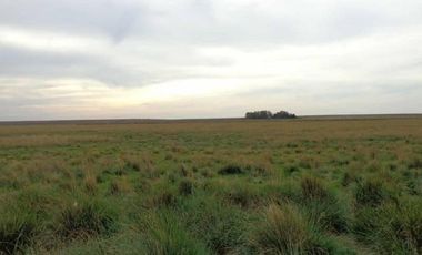 Casa en Venta en Bernasconi, Hucal, La Pampa, Argentina