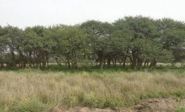 Casa en Venta en Abramo, Hucal, La Pampa, Argentina