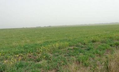 Casa en Venta en Abramo, Hucal, La Pampa, Argentina