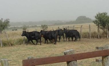 Casa en Venta en Abramo, Hucal, La Pampa, Argentina