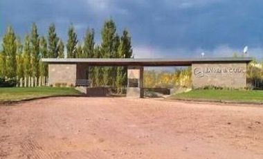 Terreno en Venta en Centenario (Neuquén), Neuquén, Patagonia, Argentina