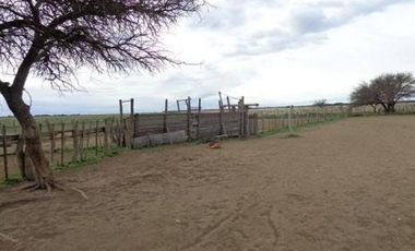 Casa en Venta en Algarrobo, Villarino, Resto de la Provincia, Buenos Aires, Argentina