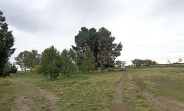 Casa en Venta en Algarrobo, Villarino, Resto de la Provincia, Buenos Aires, Argentina