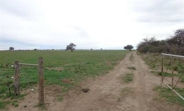 Casa en Venta en Algarrobo, Villarino, Resto de la Provincia, Buenos Aires, Argentina