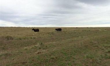 Casa en Venta en Algarrobo, Villarino, Resto de la Provincia, Buenos Aires, Argentina