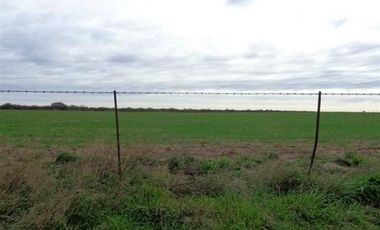 Casa en Venta en Algarrobo, Villarino, Resto de la Provincia, Buenos Aires, Argentina