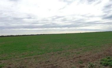 Casa en Venta en Algarrobo, Villarino, Resto de la Provincia, Buenos Aires, Argentina