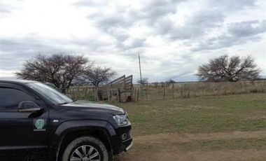 Casa en Venta en Algarrobo, Villarino, Resto de la Provincia, Buenos Aires, Argentina