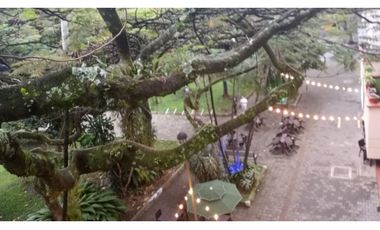 Alquiler de Apartamento Amoblado en Envigado