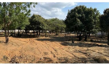 Lote en venta sector La Paz cercano a Bello Horizonte Santa Marta