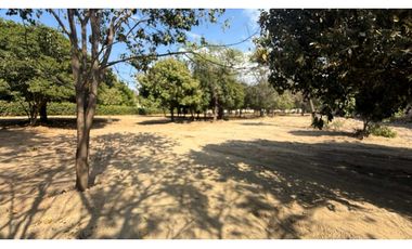 Lote en venta en el sector La Paz por Bello Horizonte Santa Marta