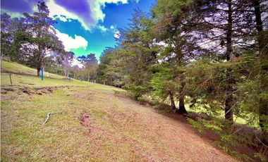 Venta Lote Parcelacion Sobre Planos El Retiro